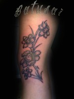 /album/tatuagens/a409156-113855628773716-357263006-n-jpg/